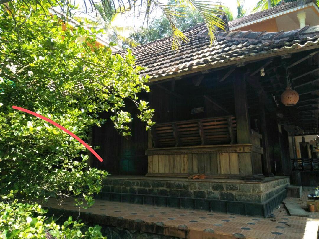 Thriphala Ayurveda Yogashram Apartment Thiruvananthapuram ภายนอก รูปภาพ